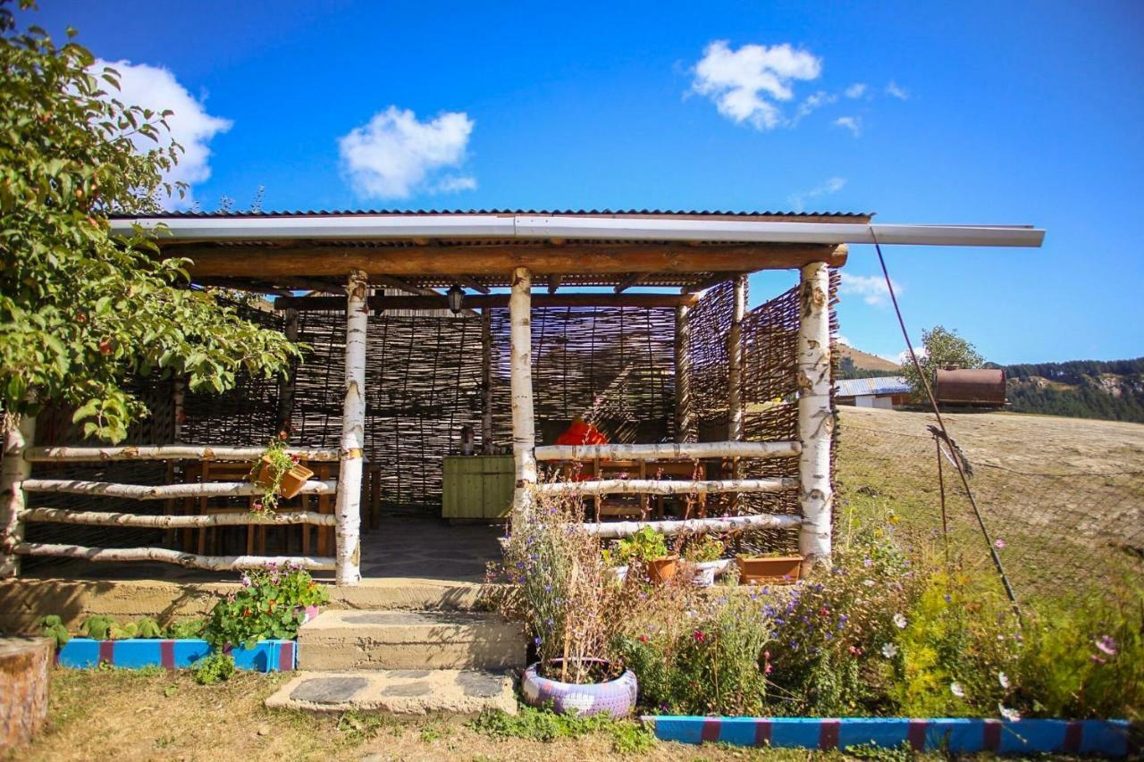 Guest House Old Omalo Luaran gambar